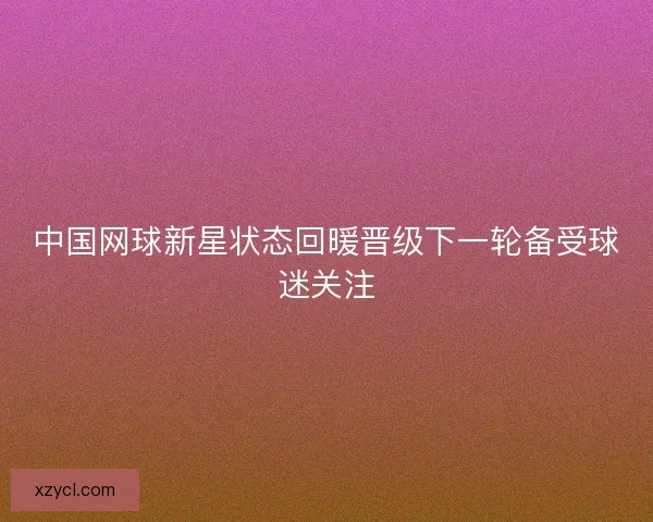 中国网球新星状态回暖晋级下一轮备受球迷关注