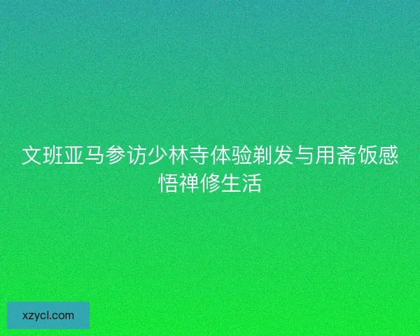 文班亚马参访少林寺体验剃发与用斋饭感悟禅修生活