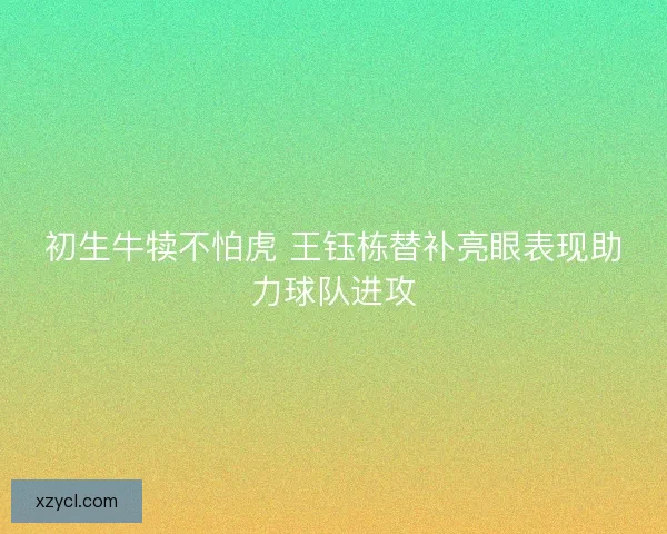 初生牛犊不怕虎 王钰栋替补亮眼表现助力球队进攻 初生牛犊不怕虎 王钰栋替补亮眼表现助力球队进攻